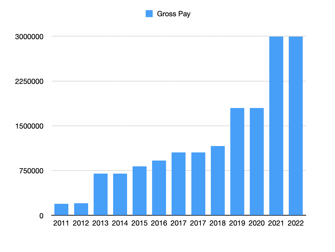 CEO's Pay